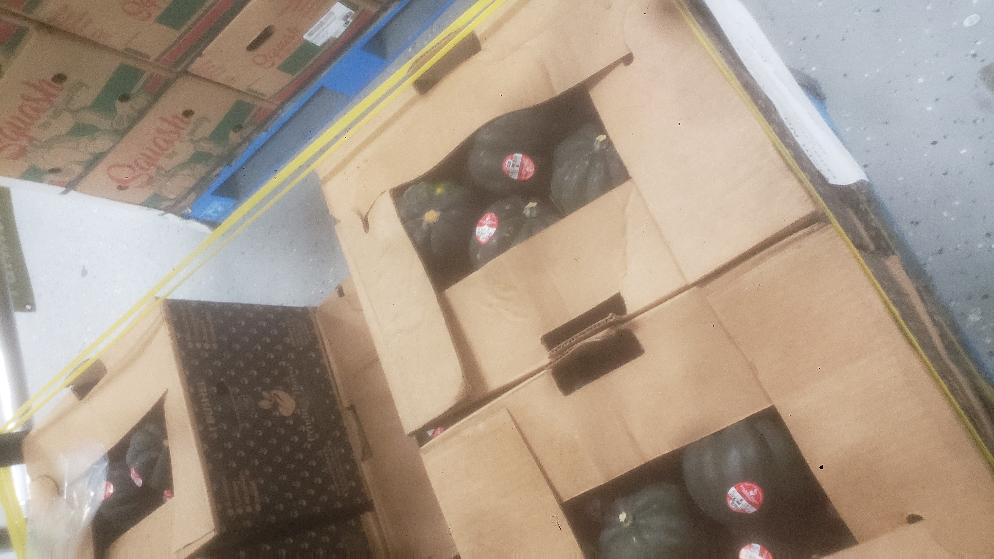 Banana boxes full of avocados.